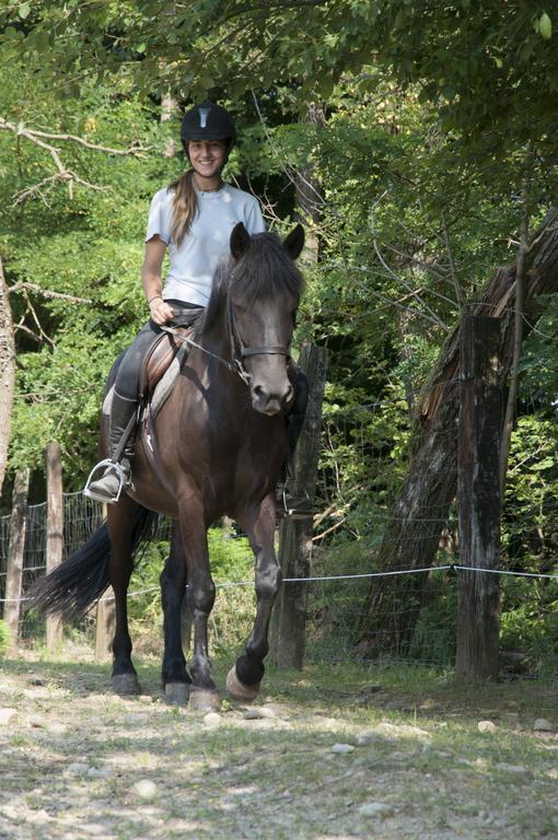 Agriturismo Jesson Rosamund Cantù Екстериор снимка
